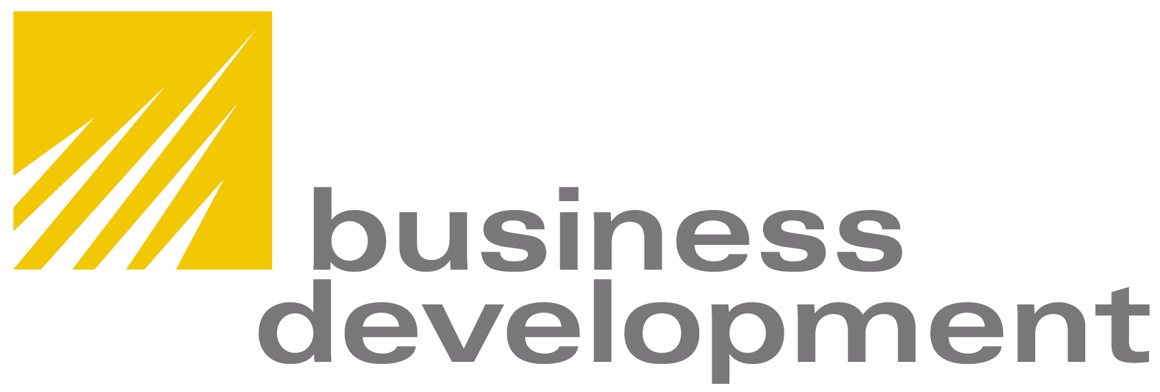Karin Schmidt | business development Berlin